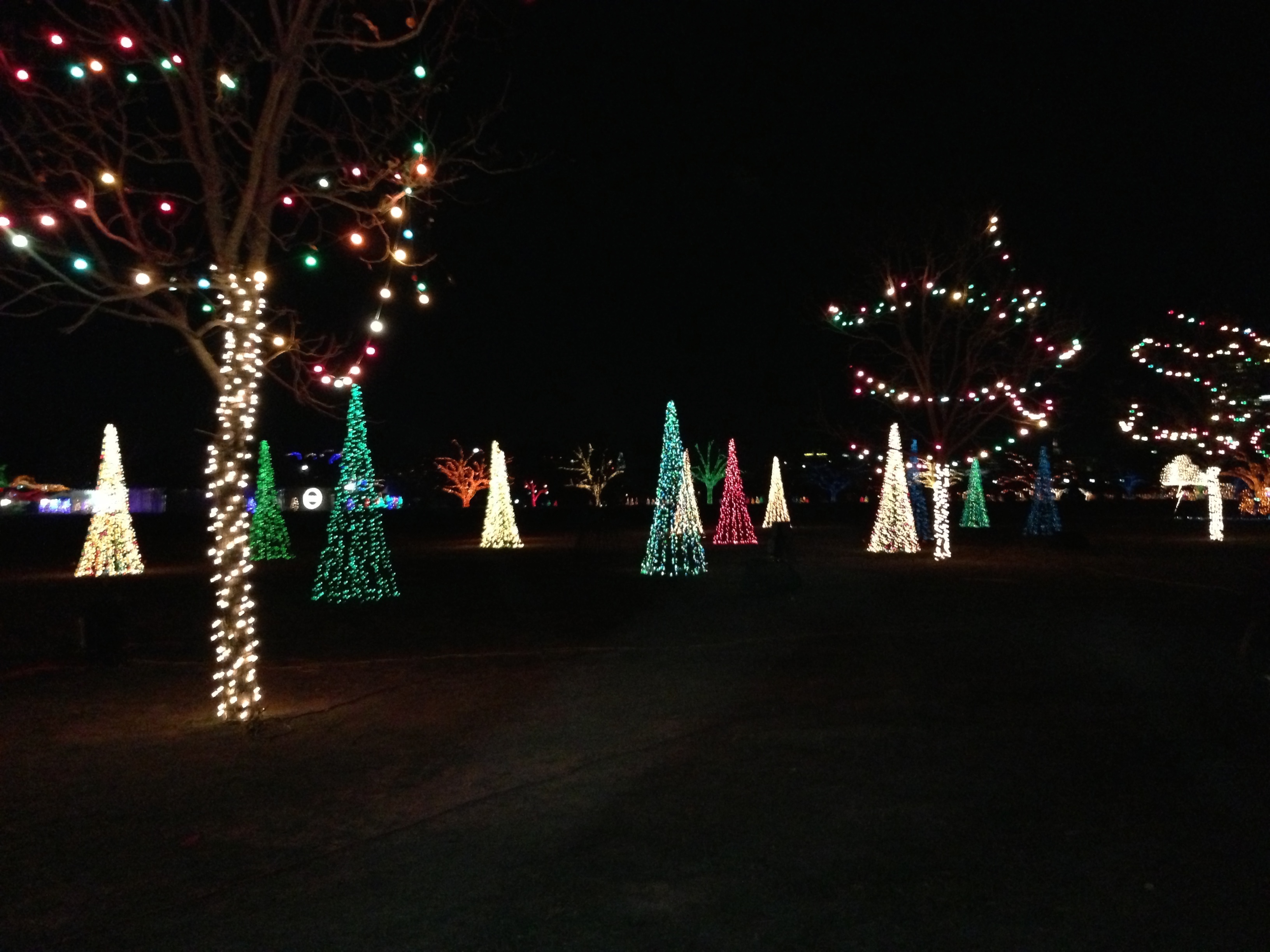 2012-12-21 13 Trail of Lights.jpg